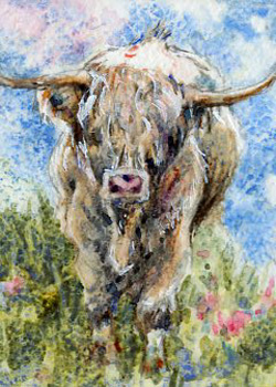 Highland Cow  Sally Probasco Madison WI mixed media